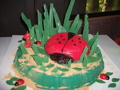 Ladybird Cake