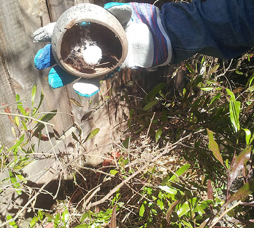 meeting local wildlife is a great way for kids to learn about the environment