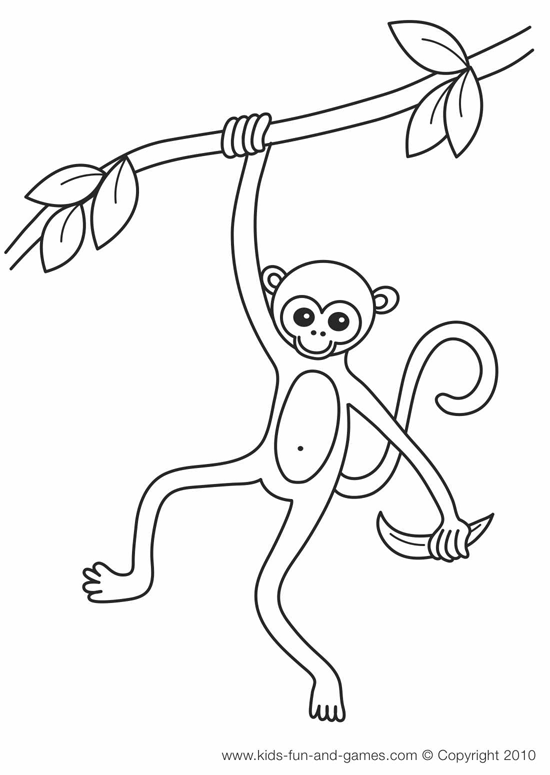 cute monkey coloring pages