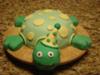 Finshed Party Turtle!